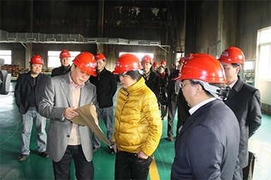 2012年1月31日，时任黄冈市委书记鲁俊携带市发改委等市级部门掌管人到公司调研