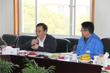 2013年3月18日，时任国度工信部节能司副司长杨铁生一行莅临公司参观领导